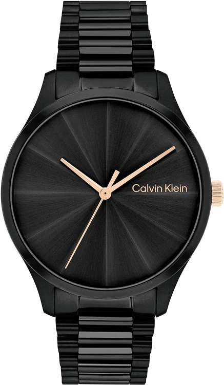 men’s smartwatches with voice commands and fitness tracking-Calvin Klein 25200233 Men's Watch With 2 Year International Warranty